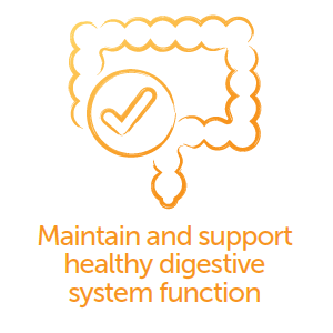 Maintain and support healthy digestive system function.