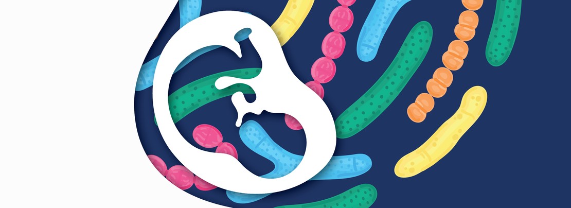 Supporting The Maternal Microbiome