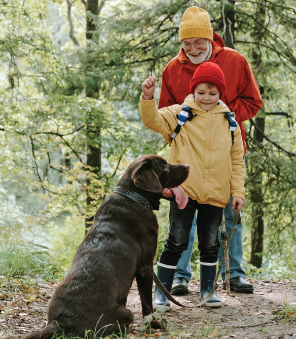 Why Gut Health is so Important for Seniors