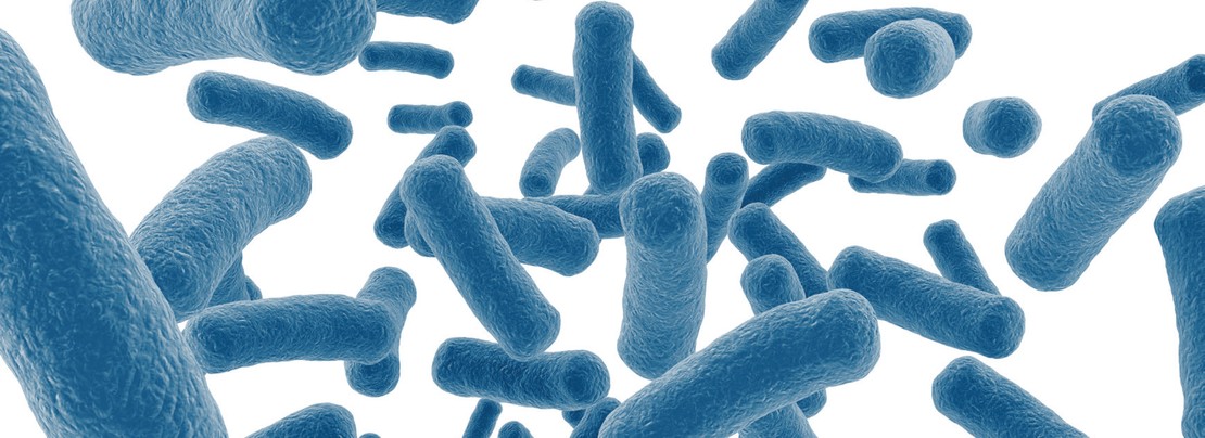 How Probiotics Can Help