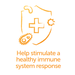 Help stimulate a healthy immune system response.