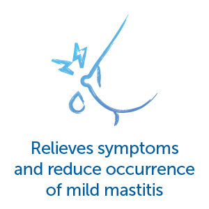 Relieves symptoms and reduce occurrence of mild mastitis.