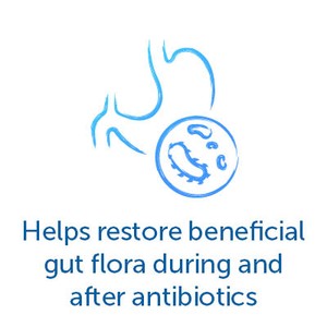 Help restore beneficial gut flora during and after antibiotics.