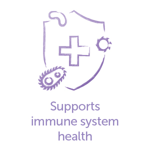 Supports Immune System Health
