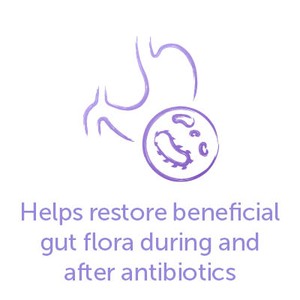 Help restore beneficial gut flora during and after antibiotics.