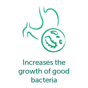Increases the growth of good bacteria.