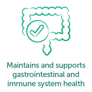 Maintains and supports gastrointestinal and immune system health.