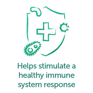 Helps stimulate a healthy immune system response
