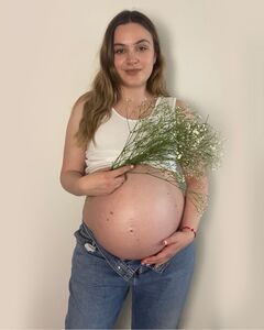 Petrija